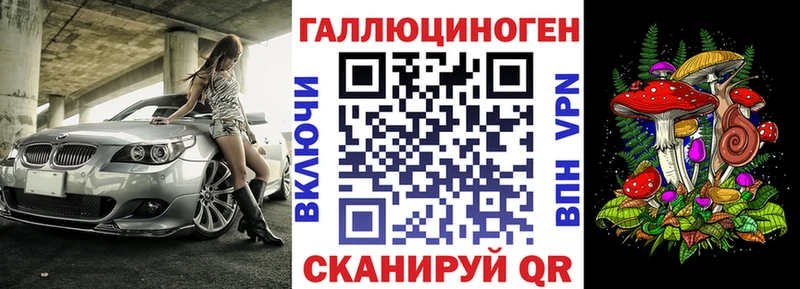Купить закладки  Сусуман  Галлюциногенные грибы Psilocybe 